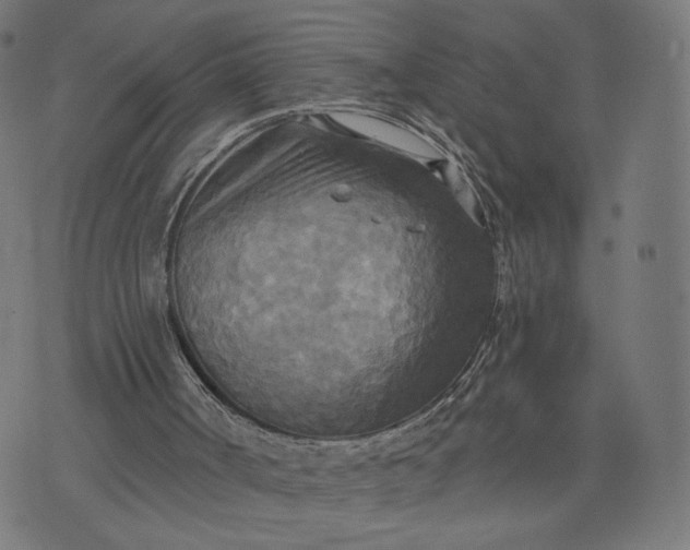 X0000070360002200606231634