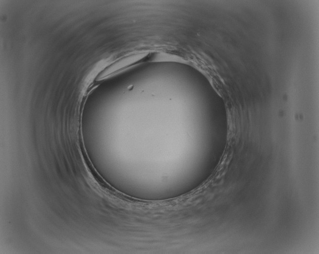 X0000070360003200606231634