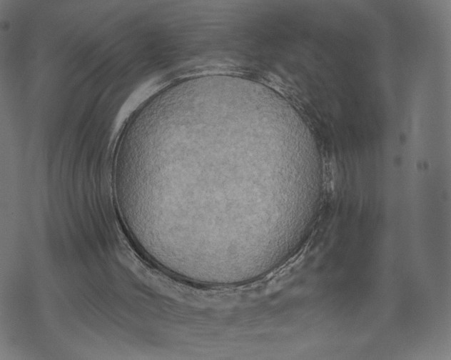 X0000070360004200606231634