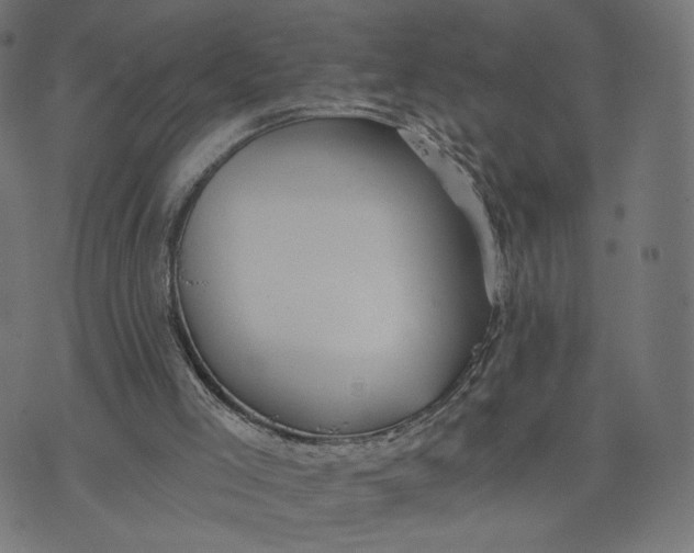 X0000070360005200606231634