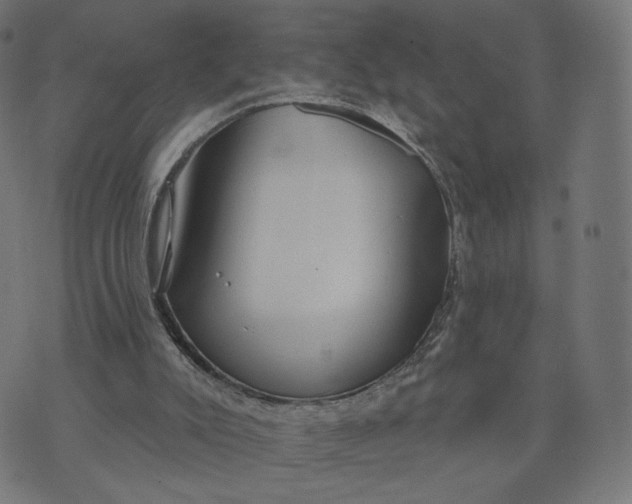 X0000070360007200606231634