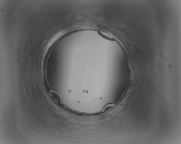 X0000070360008200606231634