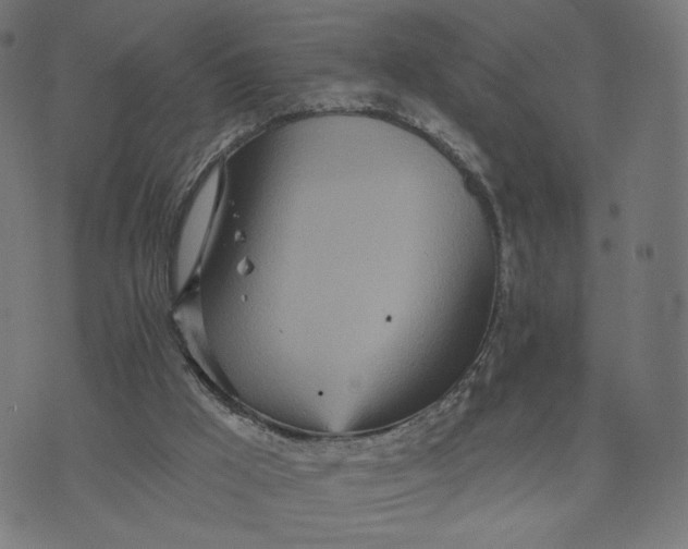 X0000070360009200606231634