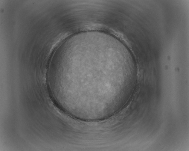 X0000070360010200606231634