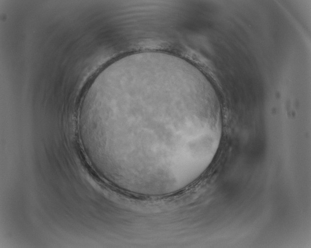 X0000070360012200606231634