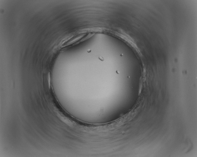 X0000070360013200606231634