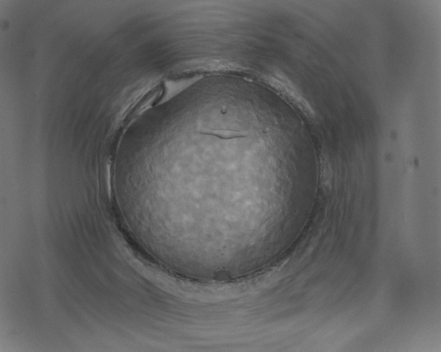 X0000070360014200606231634