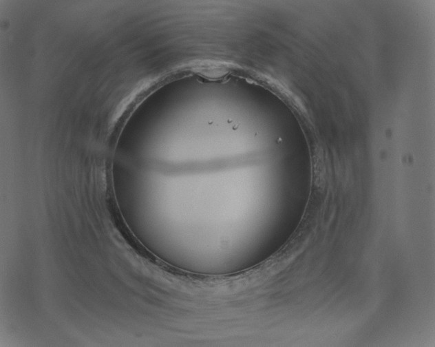 X0000070360015200606231634