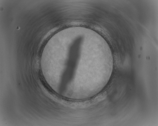 X0000070360016200606231634