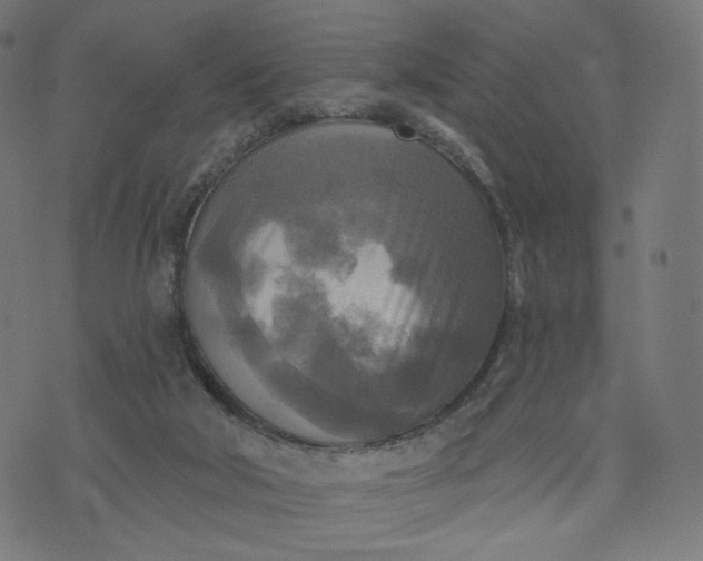 X0000070360018200606231634