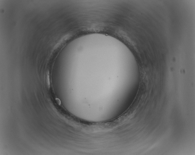 X0000070360020200606231634