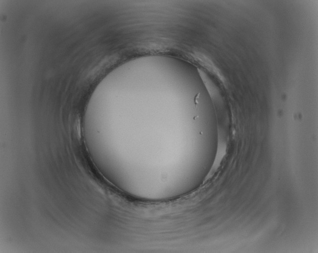 X0000070360021200606231634