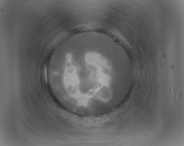 X0000070360022200606231633