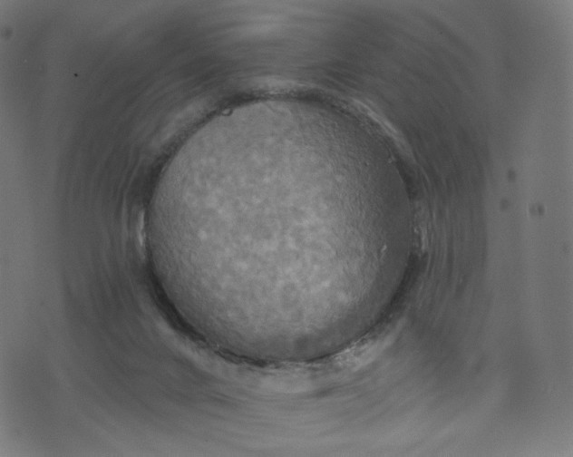 X0000070360024200606231633