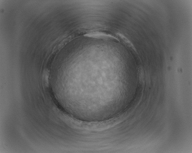 X0000070360026200606231633