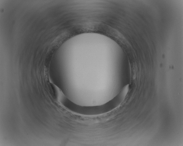 X0000070360029200606231633