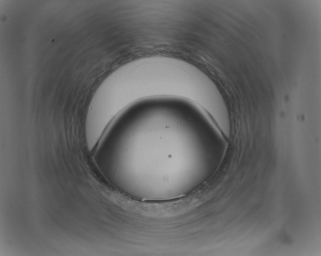 X0000070360030200606231633