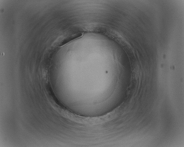 X0000070360031200606231633