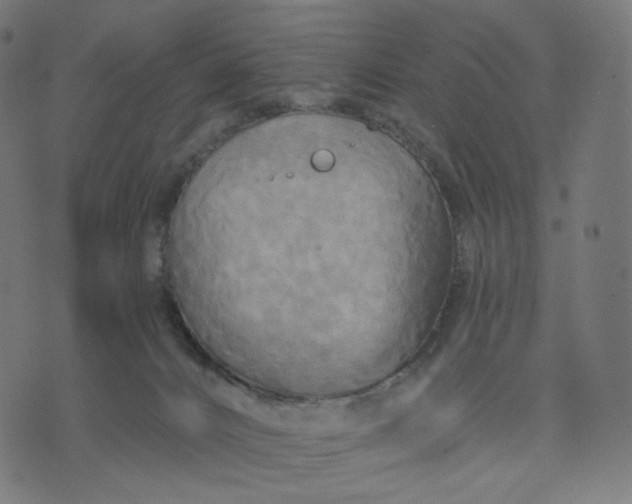 X0000070360032200606231633