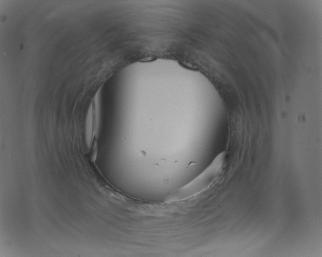 X0000070360033200606231633