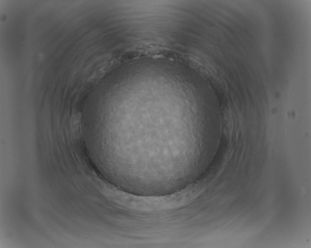 X0000070360034200606231633