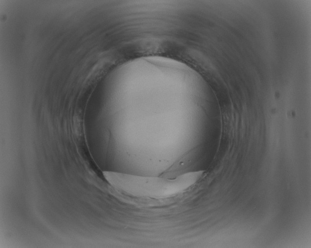 X0000070360035200606231633