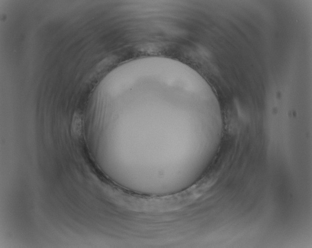 X0000070360036200606231633