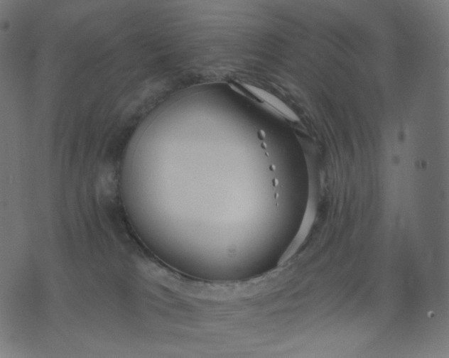 X0000070360037200606231633