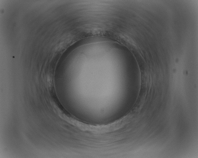 X0000070360039200606231633