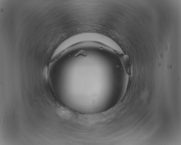 X0000070360041200606231633