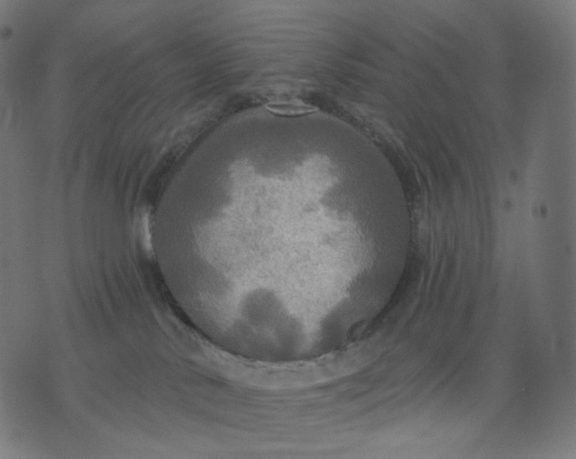 X0000070360042200606231633