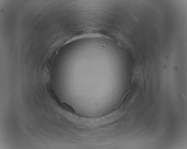 X0000070360043200606231633