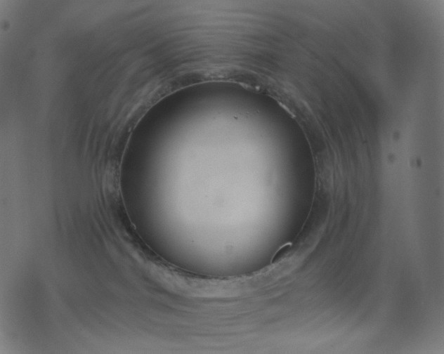 X0000070360044200606231633