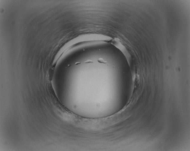 X0000070360045200606231633