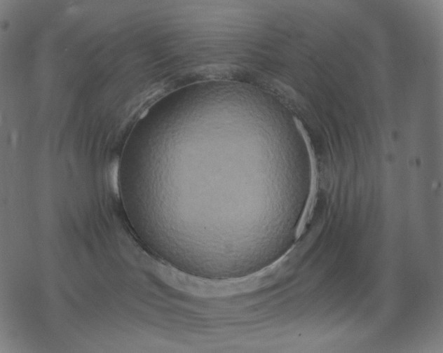 X0000070360047200606231633