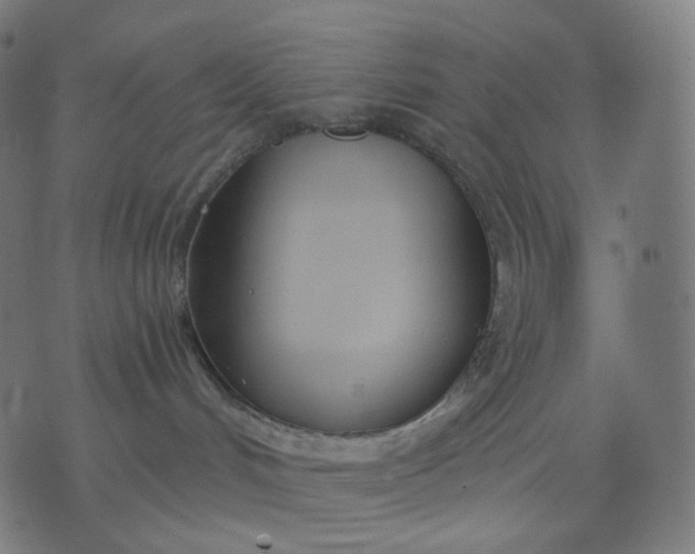 X0000070360048200606231633