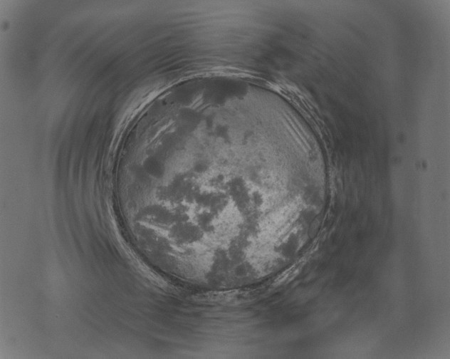 X0000070360049200606231632