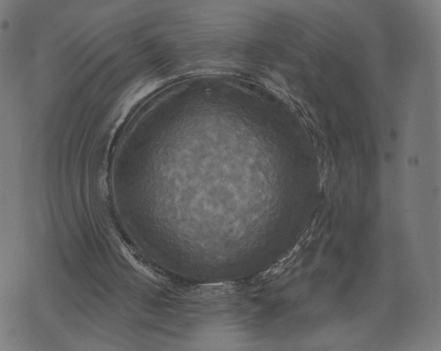 X0000070360050200606231632