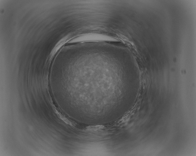 X0000070360051200606231632