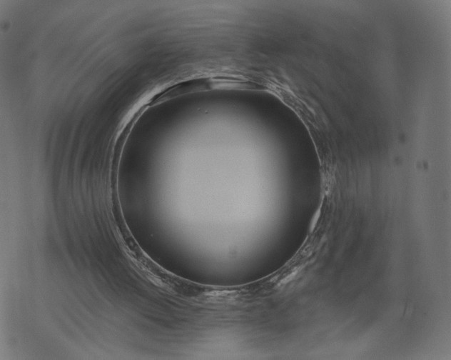 X0000070360052200606231632