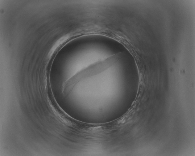 X0000070360054200606231632