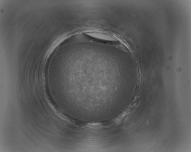 X0000070360055200606231632