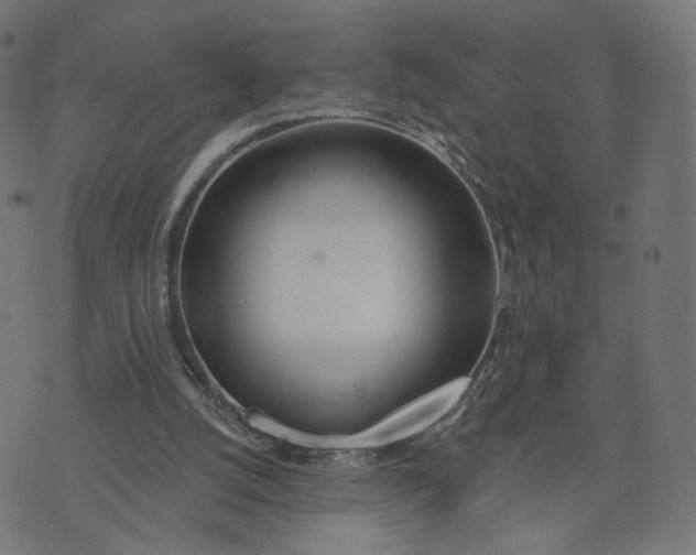 X0000070360056200606231632