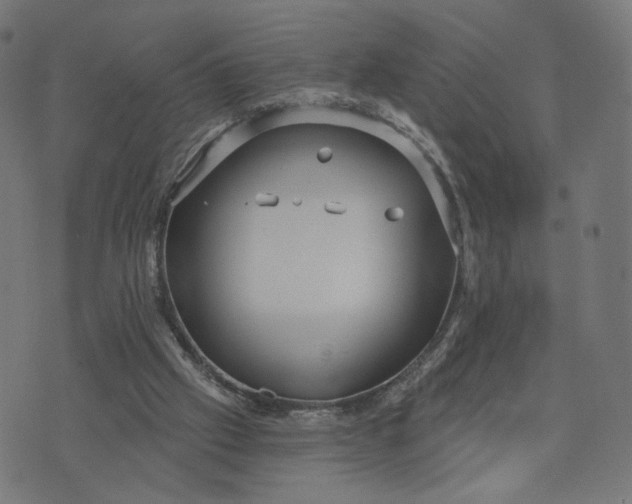 X0000070360057200606231632