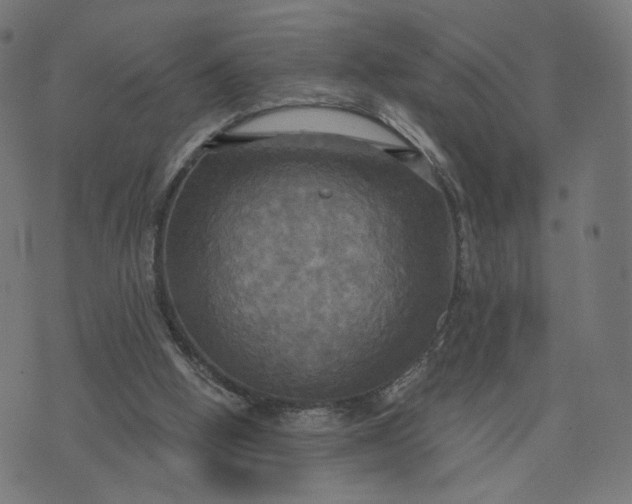 X0000070360058200606231632