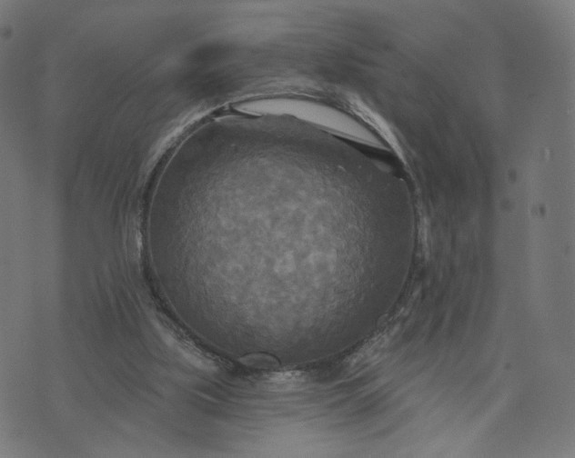 X0000070360059200606231632