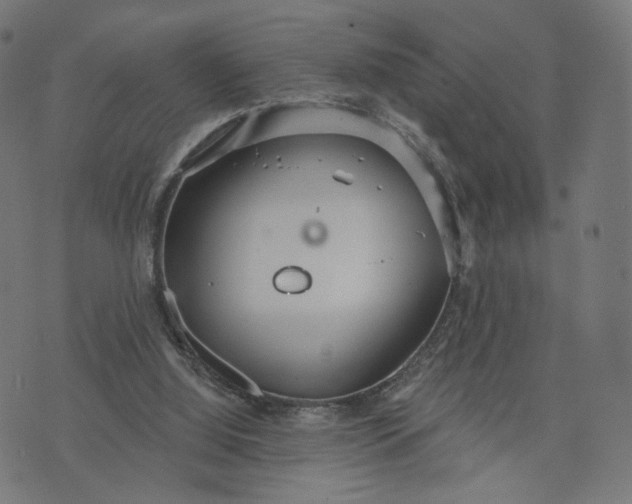 X0000070360060200606231632