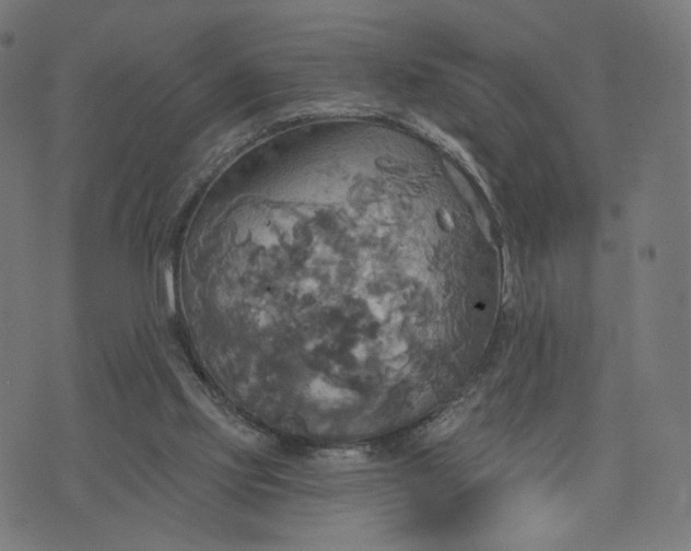 X0000070360061200606231632