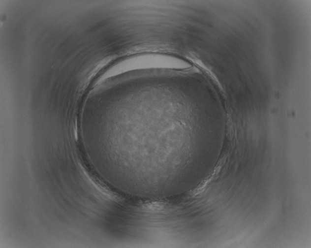 X0000070360062200606231632