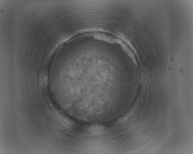 X0000070360063200606231633